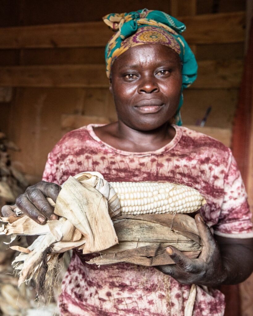 558889746 1240292621475854 8738142509501310851 n