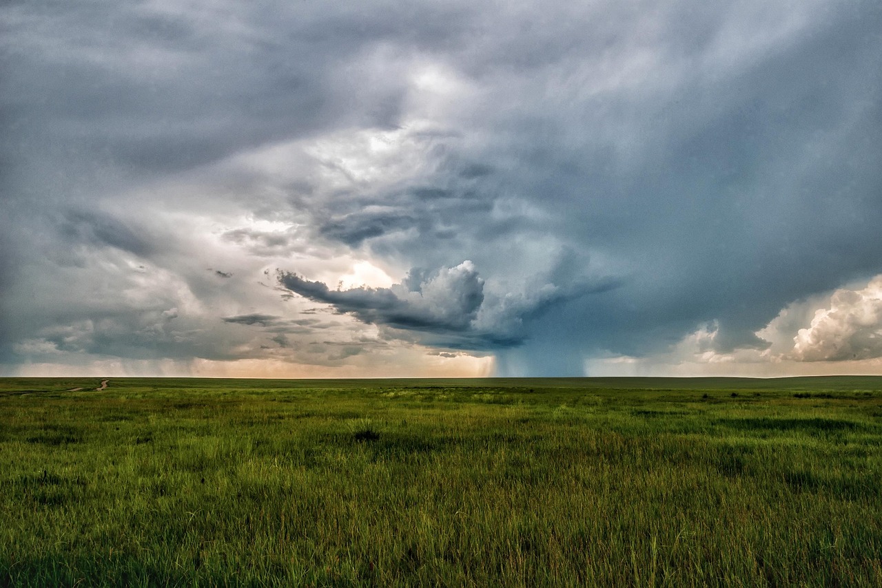 landscape, mongolia, mongolia eastern, dollars non plains, step, horizon, storm, meadow, grass, nature, field, cloud, sky, rain